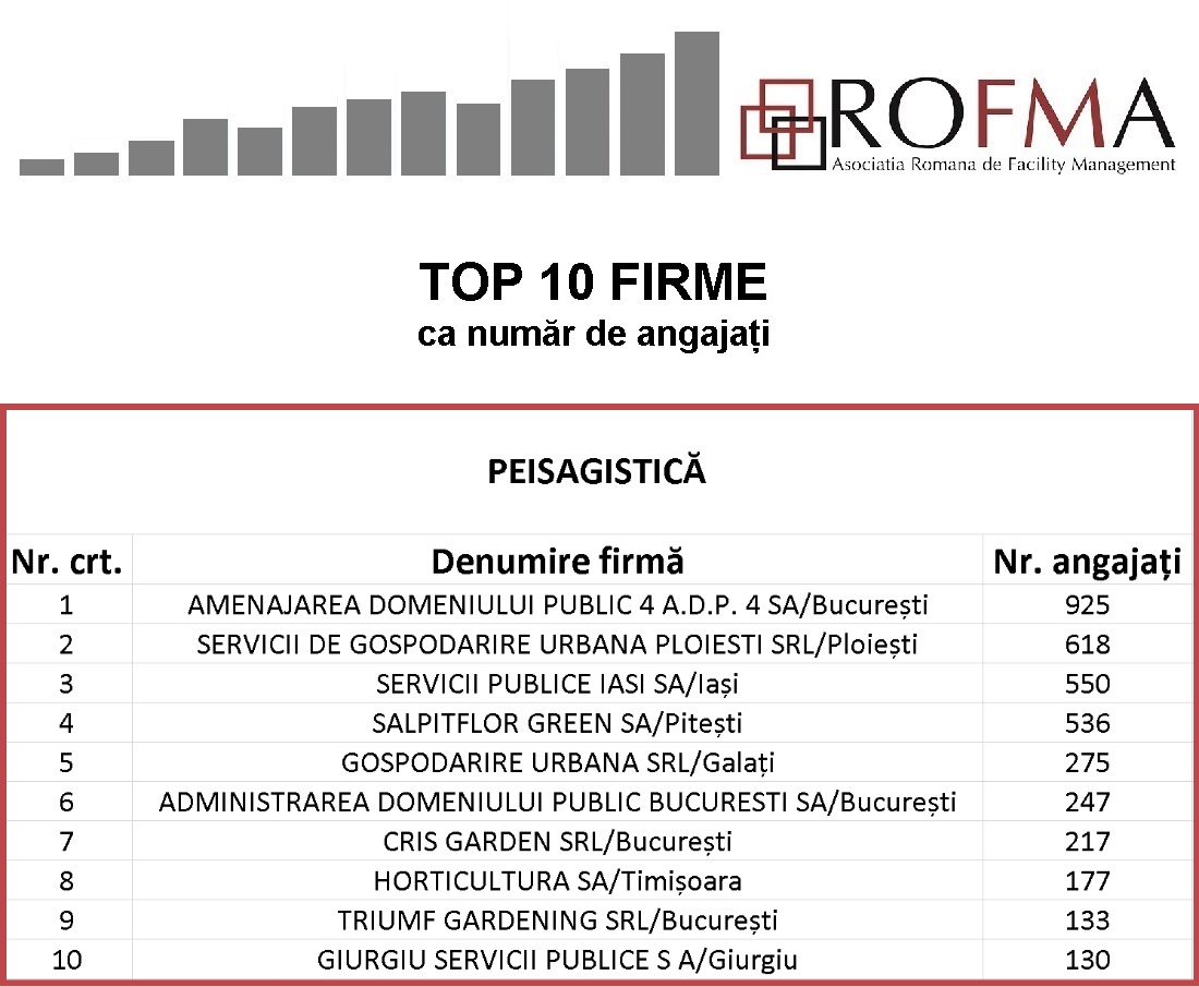 TOP-10-angajati_servicii_peisagistica TOP-10-angajati_servicii_peisagistica