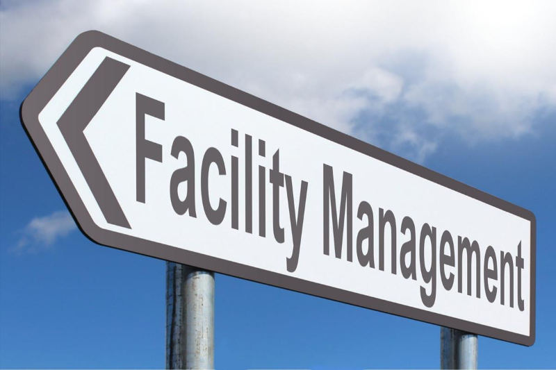 Dinamica firmelor de facility management din România 