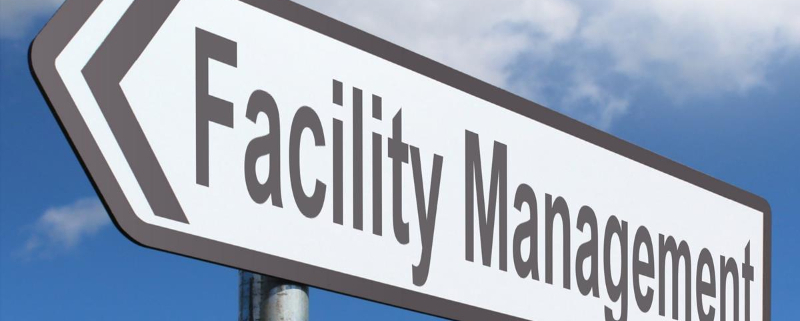 Dinamica firmelor de facility management din România