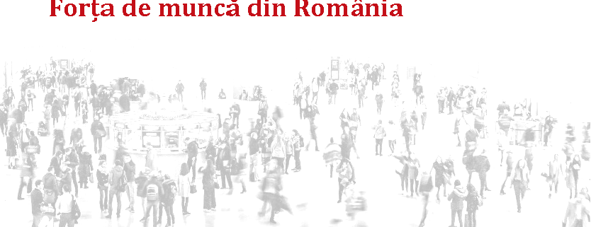Forta de munca in Facility Management 2019